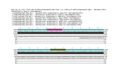 pMDC32_MYC2_sequence_aligned_demo.jpg